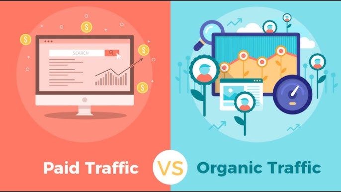 Organic vs. Paid Traffic: Which is Right for Your Business